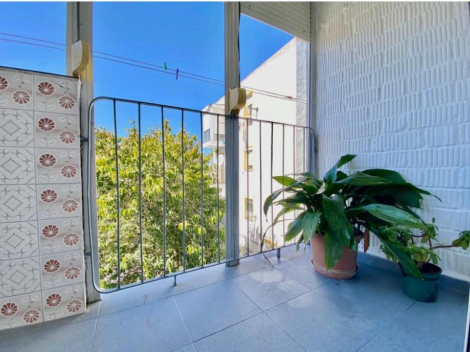Solea Appartement Jerez de la Frontera Buitenkant foto